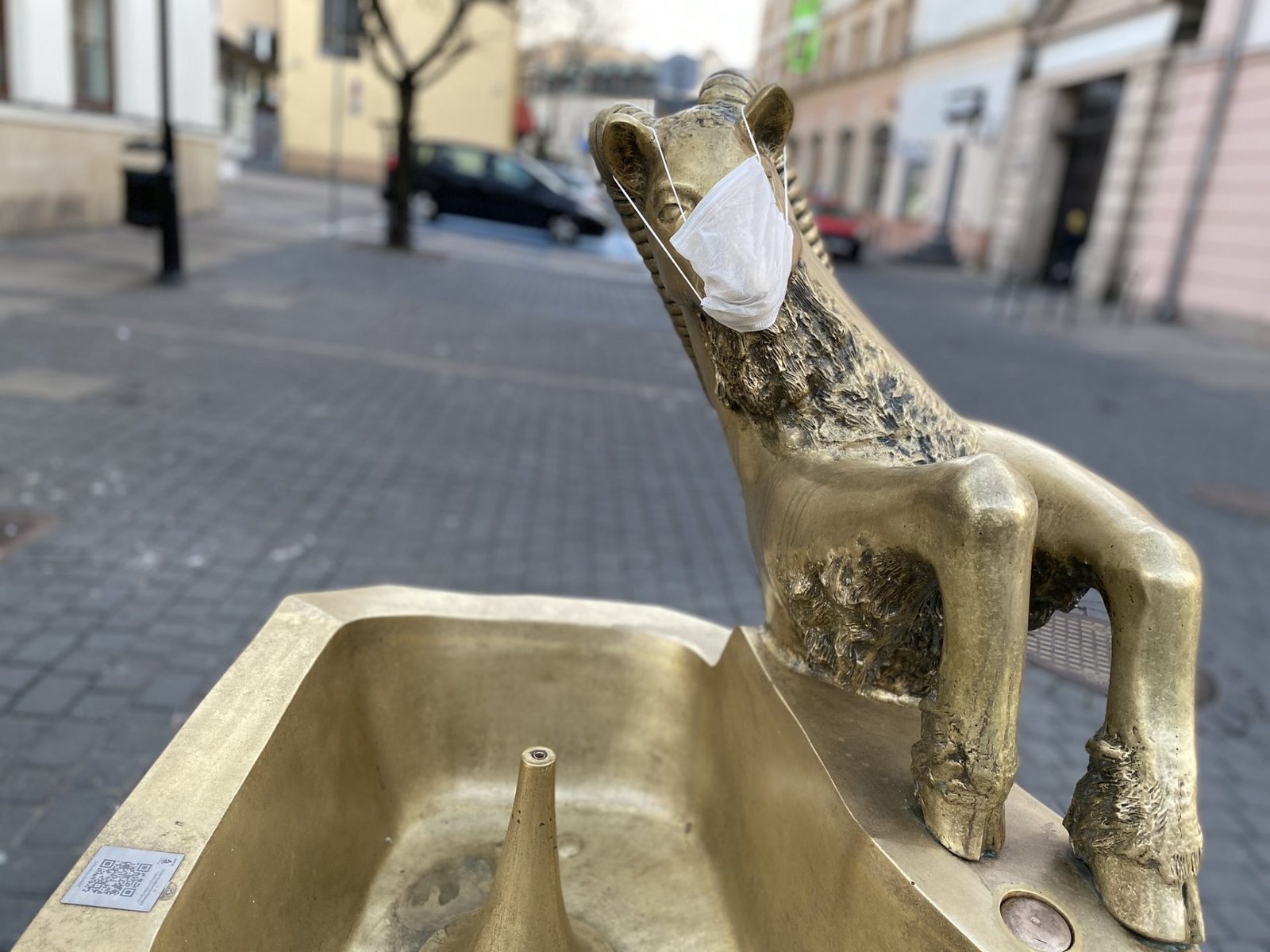 Brussels reassures public over hantavirus concerns
