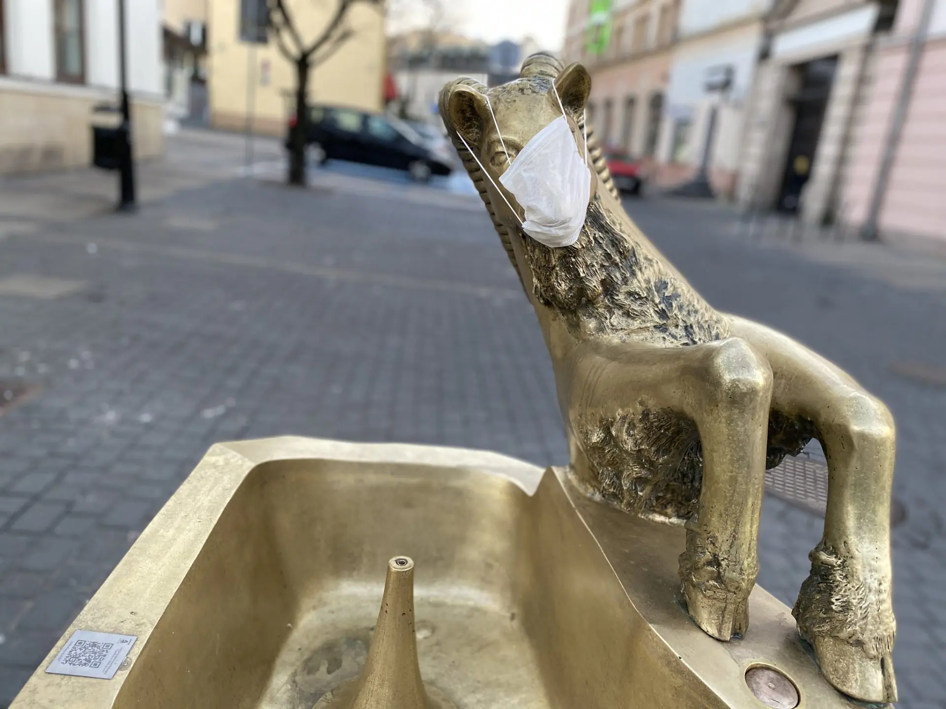 Brussels reassures public over hantavirus concerns
