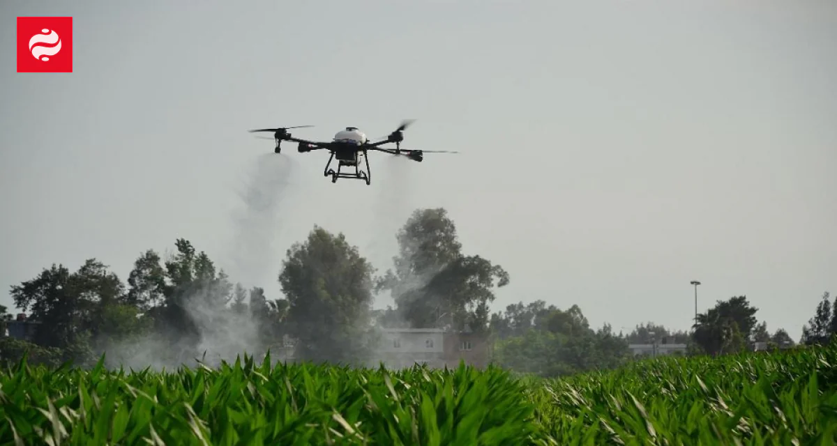 Turkish Baibars wants to replace Chinese DJI in Europe | Ukrainian News