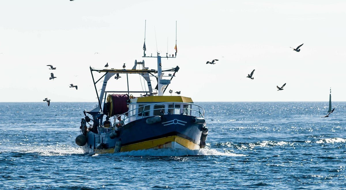 EU report warns fish stock recovery remains too slow