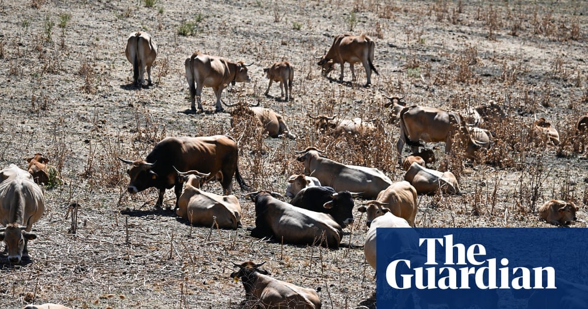 Western Europe Endures Hottest June on Record as 3.06C Temperature Spike Ravages Agriculture