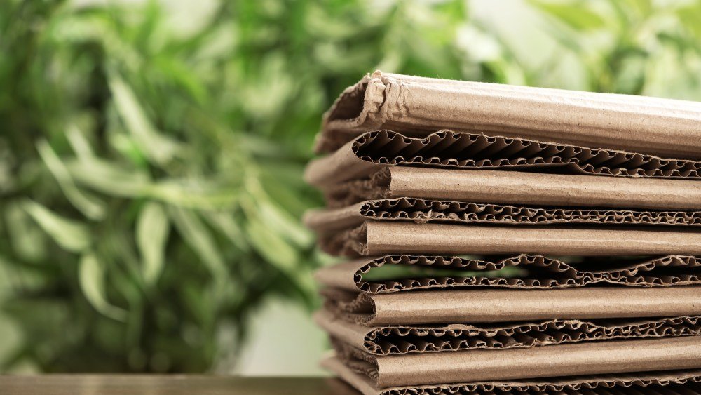 Deadline Draws Near for New EU Packaging Regulations
