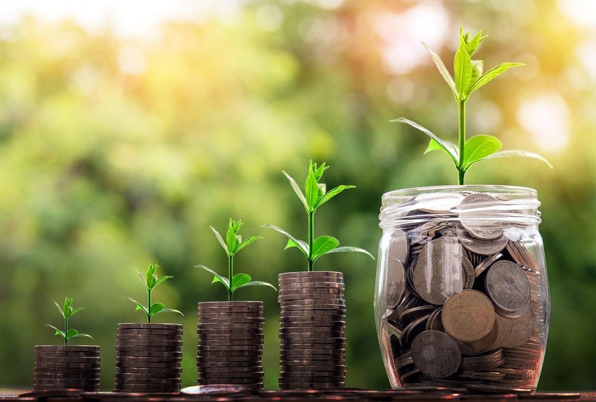 Business growth green invest scaleup - Image by Nattanan Kanchanaprat from Pixabay