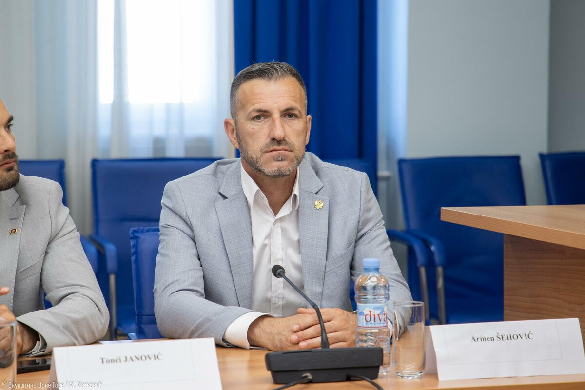 Šehović: Odžić and the European Union don't mind Mladić when it comes to the chair