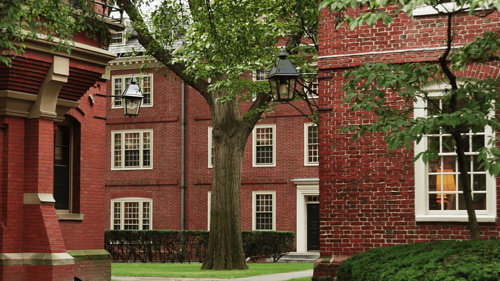 Harvard University: Successful Alumni Who Founded Startups