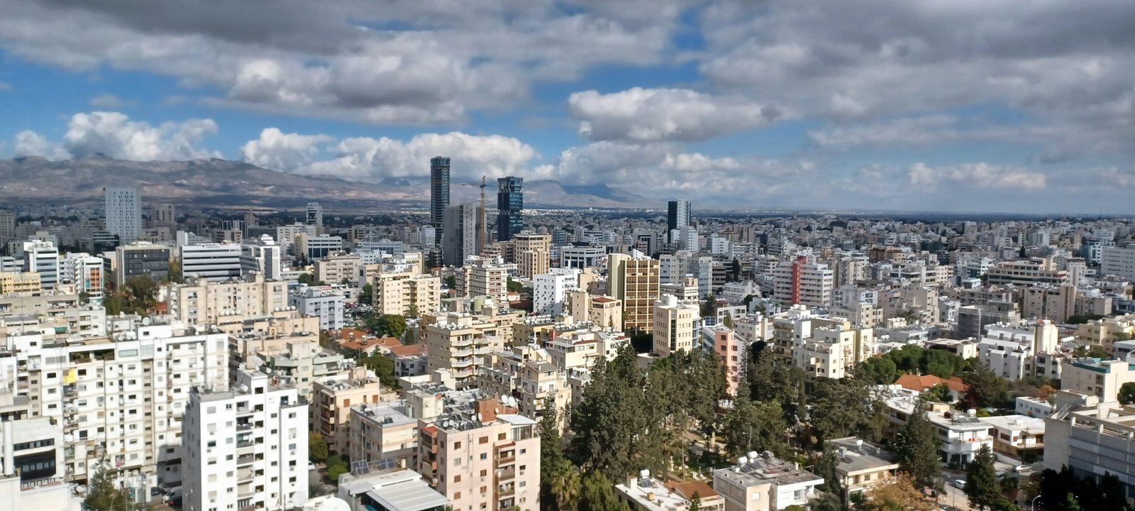 Cyprus Startup Piney Raises €1.6 Million for US Push