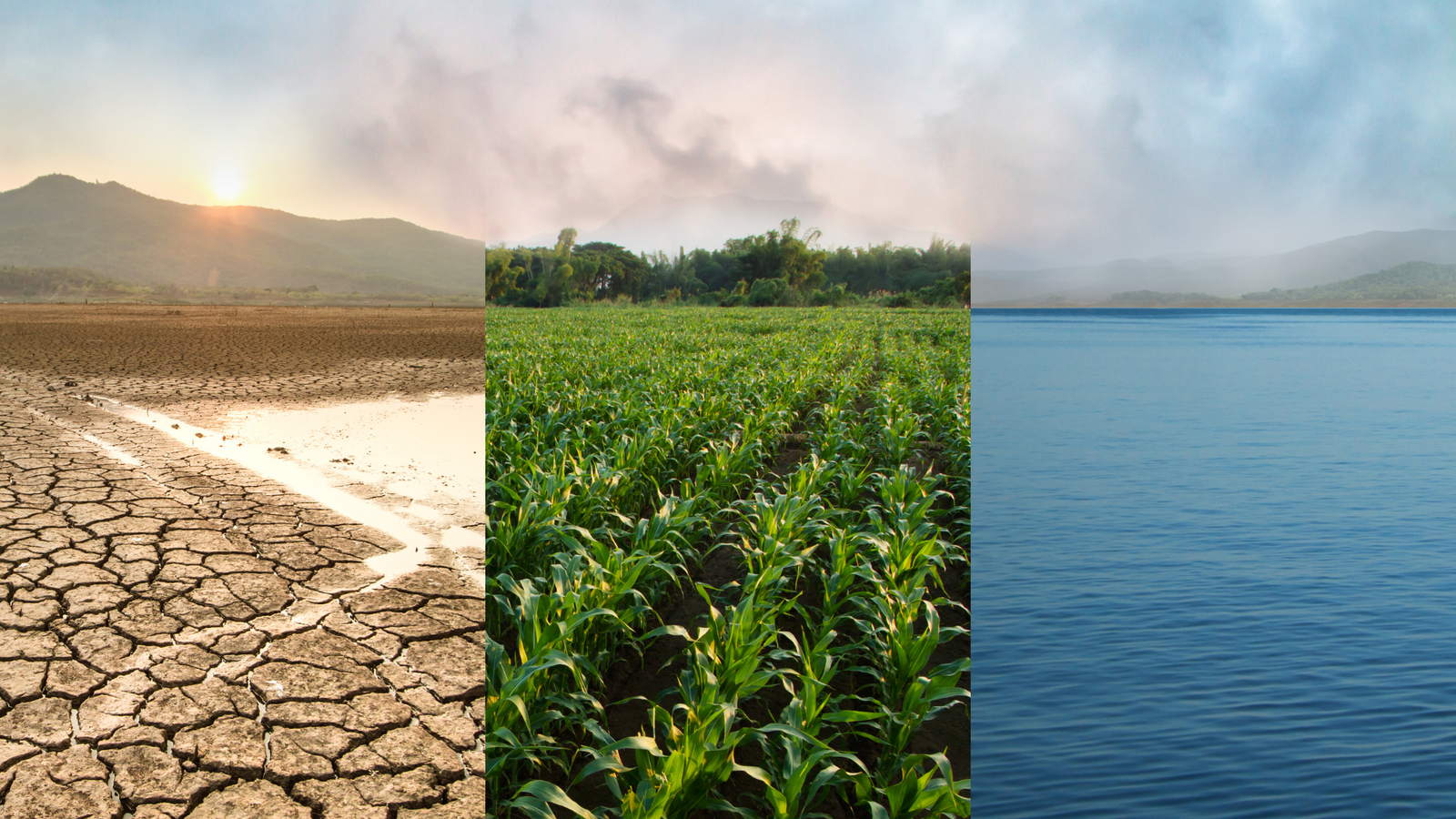 India’s climate finance challenge is matching capital with the right risks