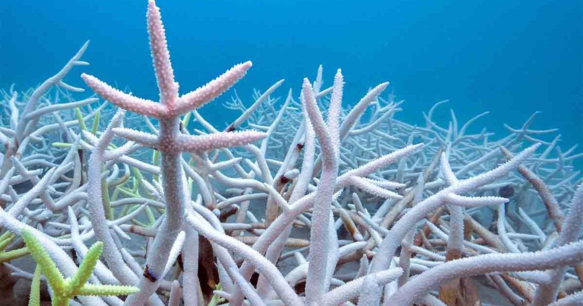 Leading climate scientist warns global warming is accelerating