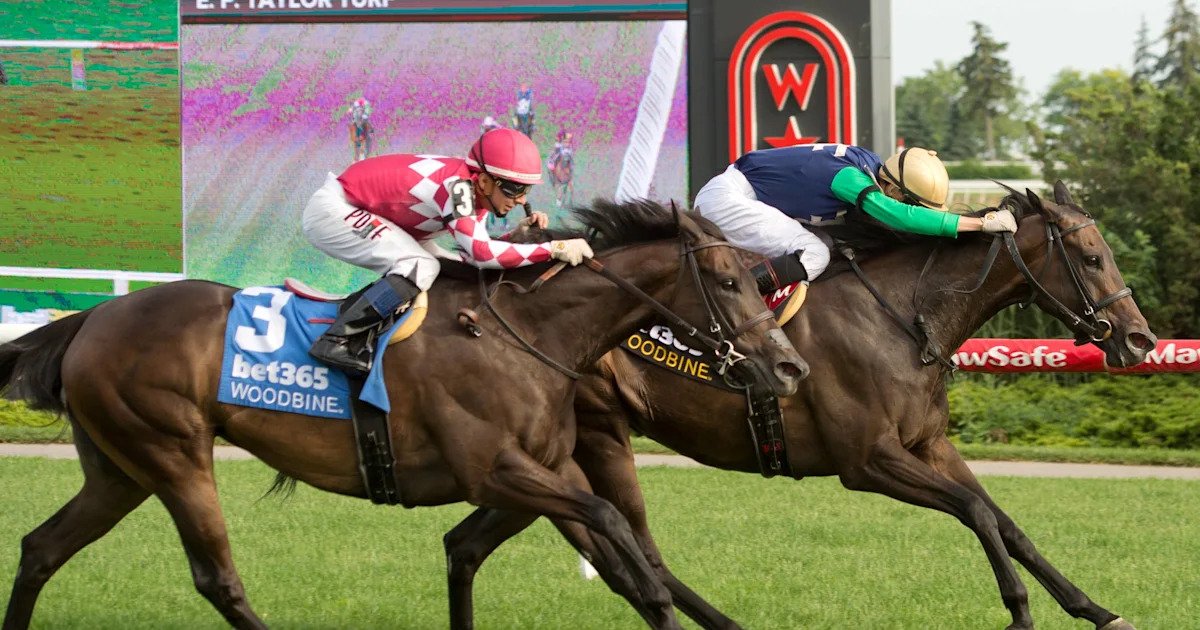 European Import Power Of Destiny Takes On Six In Dance Smartly