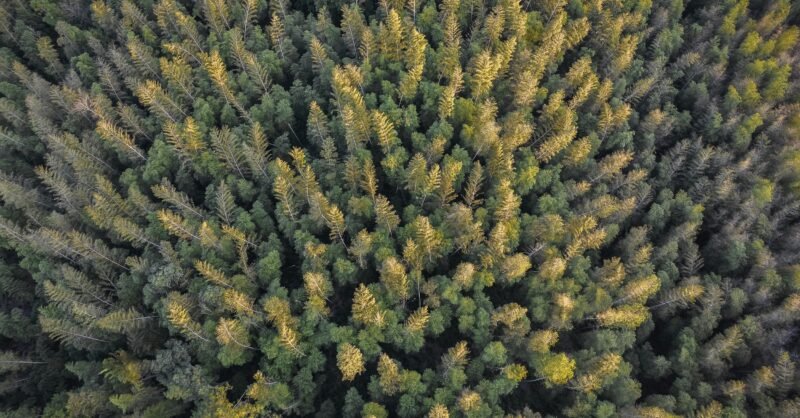 Nature-related regulation of banks in China and the EU: A comparative analysis of an evolving policy landscape – United Nations Environment – Finance Initiative